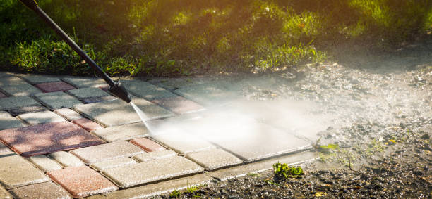 Best Roof Cleaning and Mildew Removal in Glespie, IL