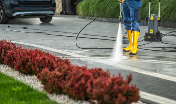 Best Parking Lot Cleaning in Glespie, IL